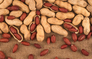 सर्दी के दिनों में अगर खाएंगे मूंगफली और गुड़ तो कब्ज होगी छूमंतर…