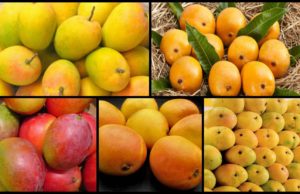 सावधान! बाजारों में आ गया नकली आम