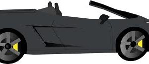 ऑक्शन में 11.50 लाख का नीलाम हुआ वीआईपी नंबर