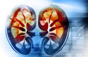 क्रॉनिक किडनी डिजीज होने पर इन चीजों से करें परहेज