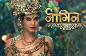 20 साल की लीप में क्या नयी-पुरानी नागिन का मिलना होगा