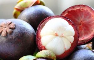 शिल्पा का फिटनेस मंत्रा