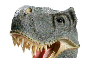 भारत का पहला पृथ्वी संग्रहालय किया जाएगा एनसीआर में स्थापित