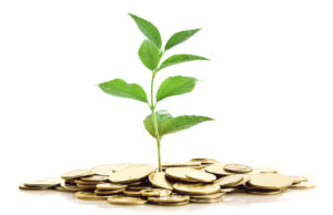 अच्छे फिक्स्ड रिटर्न के लिए निवेश के 5 बेहतरीन ऑप्शन,पीपीएफ के आलावा