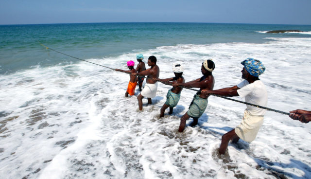 INDIAN FISHERMEN PULL IN THEIR CATCH IN KOVALAM BEACH.