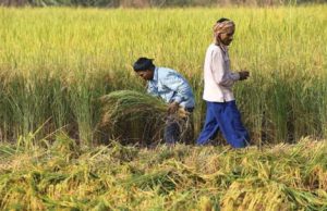 ऊर्जा राज्य मंत्री के सामने किसान ने पीया जहर