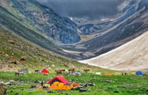 नेचर के तमाम रंग ‘पब्बर वैली’ के संग