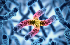 वैज्ञानिकों ने खोजा नया तरीका खुद अपनी मौत मर जाएंगे कैंसर सेल्स