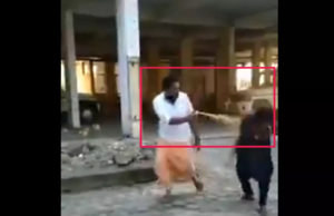 सबरीमाला मंदिर में बिंदु अम्मिनी पर मिर्च के स्प्रे से हमला, वीडियो वायरल