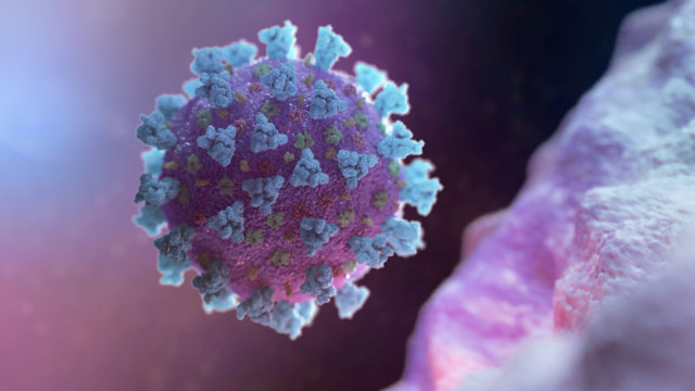 A computer image created by Nexu Science Communication together with Trinity College in Dublin, shows a model structurally representative of a betacoronavirus which is the type of virus linked to COVID-19
