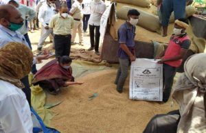 गेहूं खरीदी में देश में सिरमौर बने एमपी ने पंजाब का रिकॉर्ड किया ध्वस्त