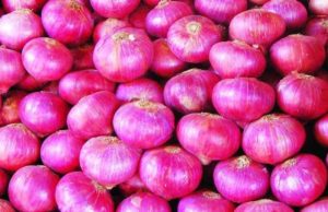 सस्ता हो गया प्याज, सरकार ने दिखाई सख्ती