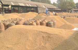 धान खरीद मामला: योगी की सख्ती से प्रभारियों पर एफआईआर