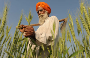 पृथ्वी पर सबसे उपजाऊ क्षेत्रों में से एक पंजाब, जो है भारत का प्रमुख अन्न भंडार