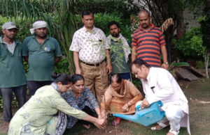 लायंस क्लब आगरा टाऊन ने किया वृक्षारोपण