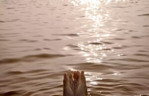 27 अगस्त को भाद्रपद महीने में शनैश्चरी अमावस्या का होगा शुभ योग:18 साल बाद होगा शुभ संयोग, 2025 में फिर होगा ऐसा