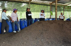 भाजपा पर आरोप, बिहार में उर्वरक संकट के लिए है जिम्मेदार- कृषि मंत्री सुधाकर