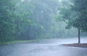 यूपी के इन जिलों में 15 अगस्त तक बारिश के आसार