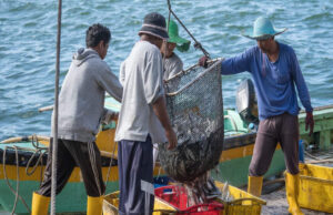 श्रीलंका ने 17 भारतीय मछुआरों को वापस भारत भेजा